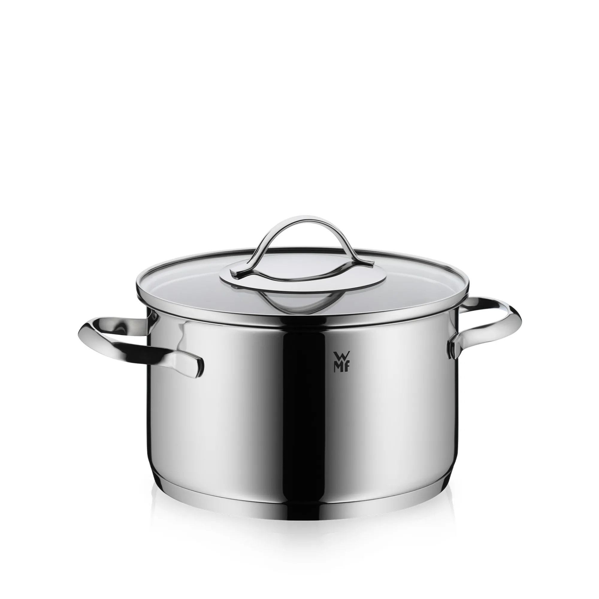 WMF Aparto Kochtopf mit Deckel, 20 cm| Kochtöpfe|Induktionstöpfe