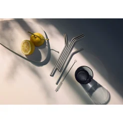 WMF BaricTrinkhalm-Set aus Cromargan®, 24 cm, 6-teilig plus Reinigungsbürste| Barzubehör