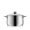WMF Diadem Plus Kochtopf mit Deckel, 20 cm| Kochtöpfe|Induktionstöpfe