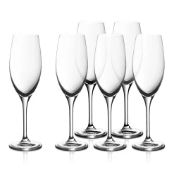 WMF EasyPlus Champagnerkelche, 6 Stück| Weingläser|Sekt & Champagnergläser