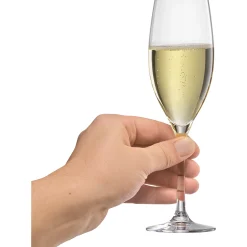 WMF EasyPlus Champagnerkelche, 6 Stück| Weingläser|Sekt & Champagnergläser