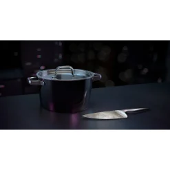 WMF Fusiontec Aromatic Kochtopf, 22 cm, Schwarz| Kochtöpfe|Induktionstöpfe