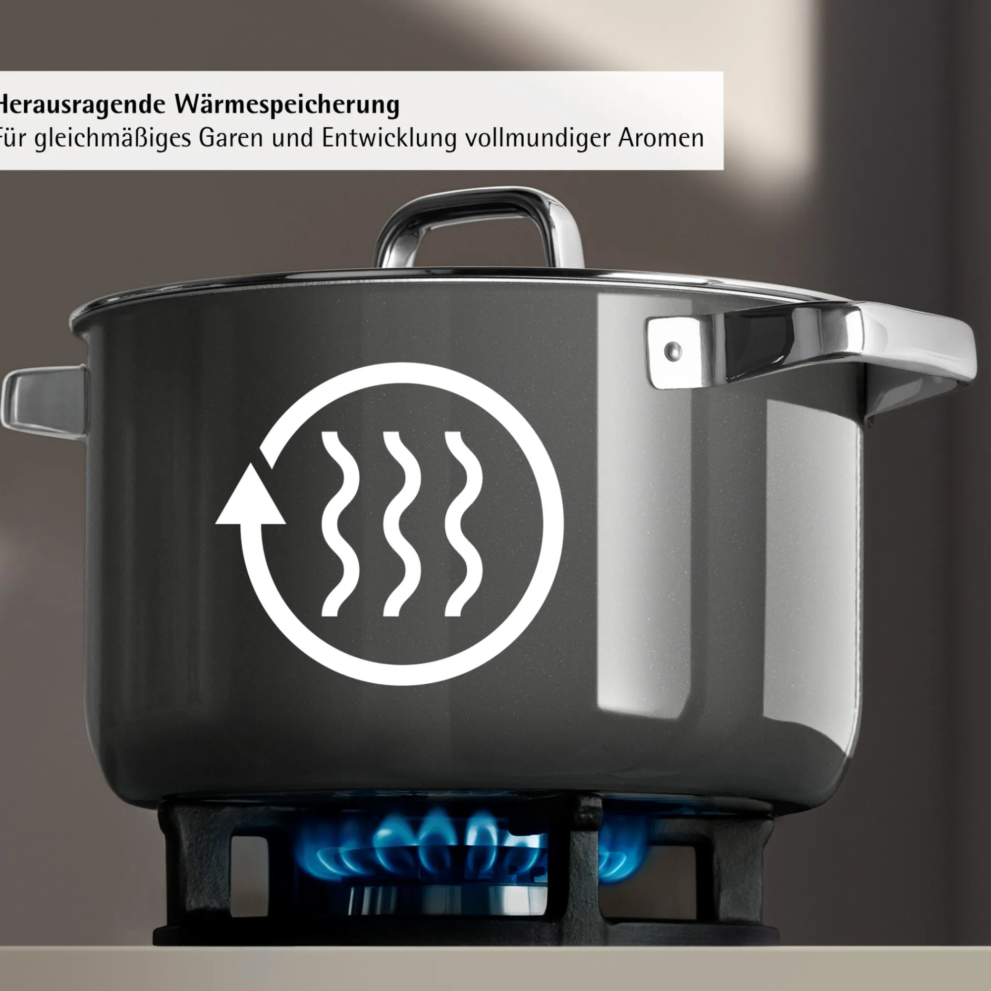 WMF Fusiontec Mineral Pro, Bratentopf mit Decke, 24 cm, Platinum| Induktionstöpfe