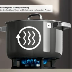 WMF Fusiontec Mineral Pro, Kochtopf mit Deckel, 20 cm, Platinum| Kochtöpfe|Induktionstöpfe