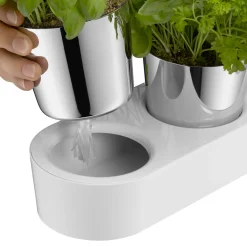 WMF Gourmet Indoor Kräutergarten, 3-teilig| Kräutergarten