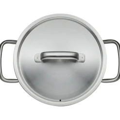 WMF Gourmet Plus Kochtopf mit Deckel, 20 cm| Kochtöpfe|Induktionstöpfe