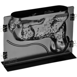 WMF KAISER 3D Vollbackform Lamm 1,75 l| Backformen