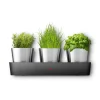 WMF Silit Collexio Indoor Kräutergarten, 3-teilig| Kräutergarten