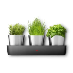 WMF Silit Collexio Indoor Kräutergarten, 3-teilig| Kräutergarten